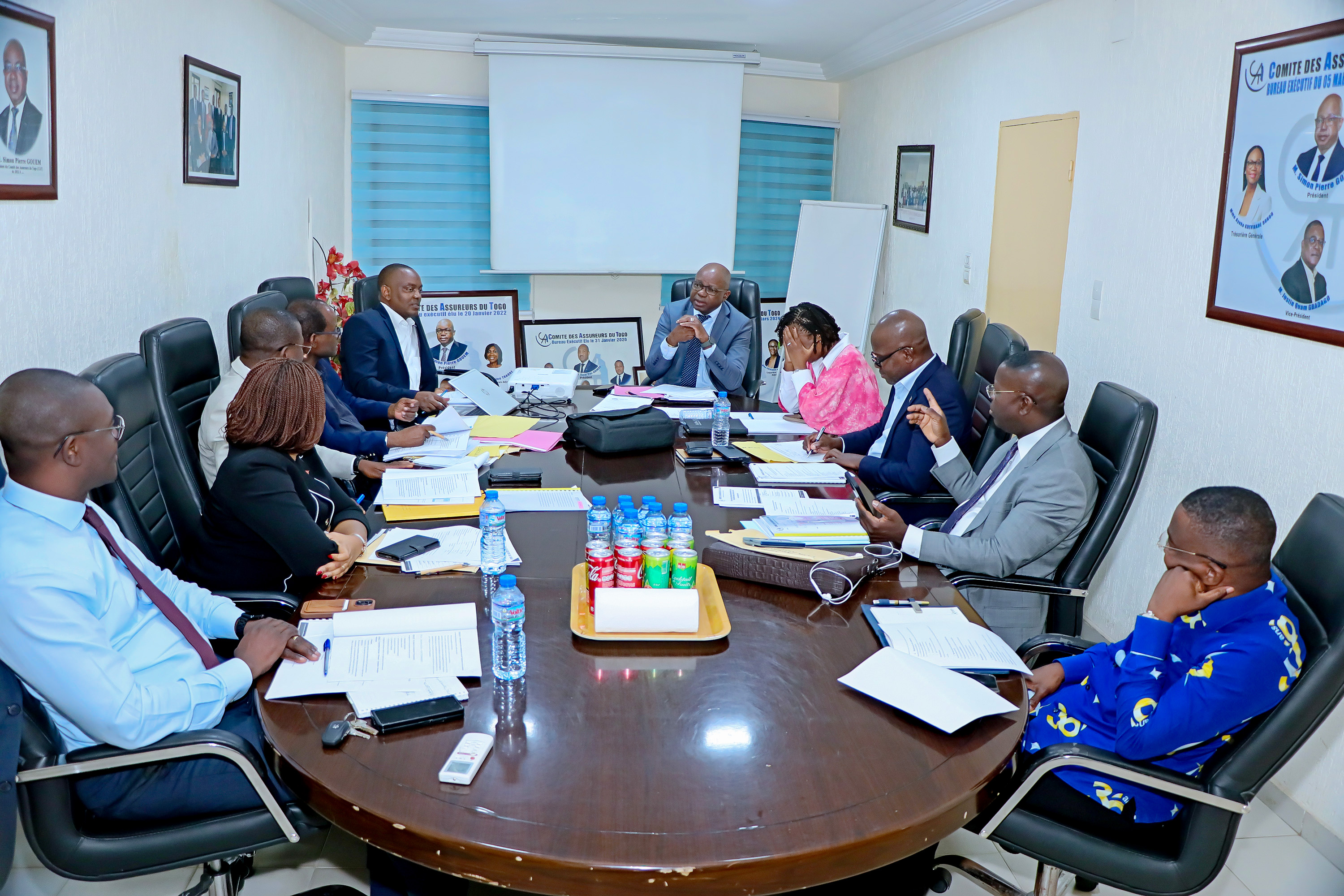 ASSEMBLÉE GÉNÉRALE MIXTE DU COMITÉ DES ASSUREURS DU TOGO (CAT)